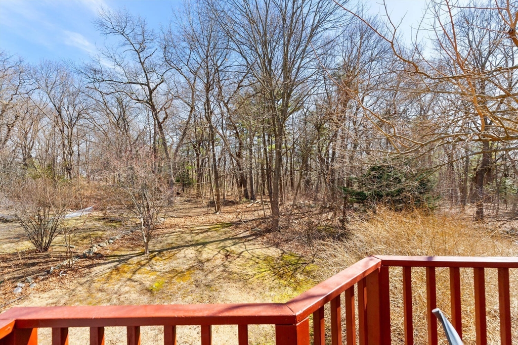 38 High Haith Road Arlington, MA 02476 - Photo 38 of 42 Gallery Image 38