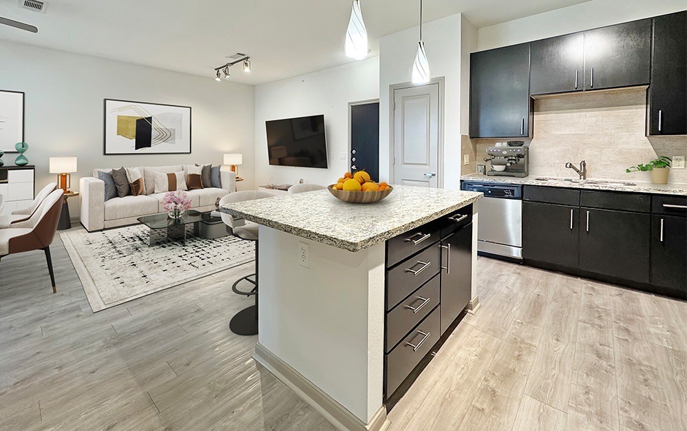 2700 Brazos Street, Unit 4424 Houston, TX 77006 - Photo 2 of 24 a kitchen with stainless steel appliances granite countertop a sink and a stove