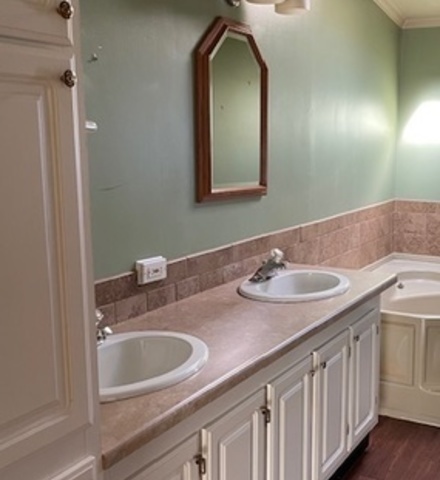 895 Cherry Street Manteno, IL 60950 - Photo 22 of 38 a bathroom with a double vanity sink and a mirror