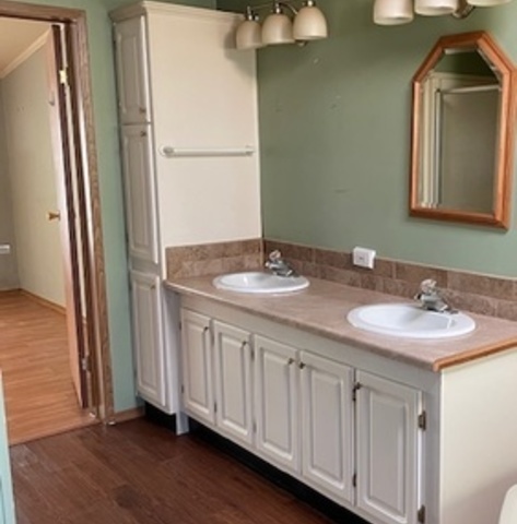 895 Cherry Street Manteno, IL 60950 - Photo 23 of 38 a bathroom with a double vanity sink and a mirror