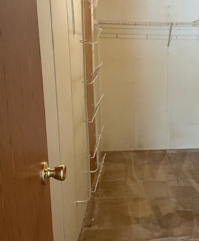 895 Cherry Street Manteno, IL 60950 - Photo 24 of 38 a bathroom with a shower