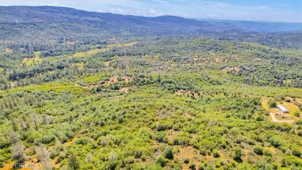 a view of a lush green field with a mountain in the background