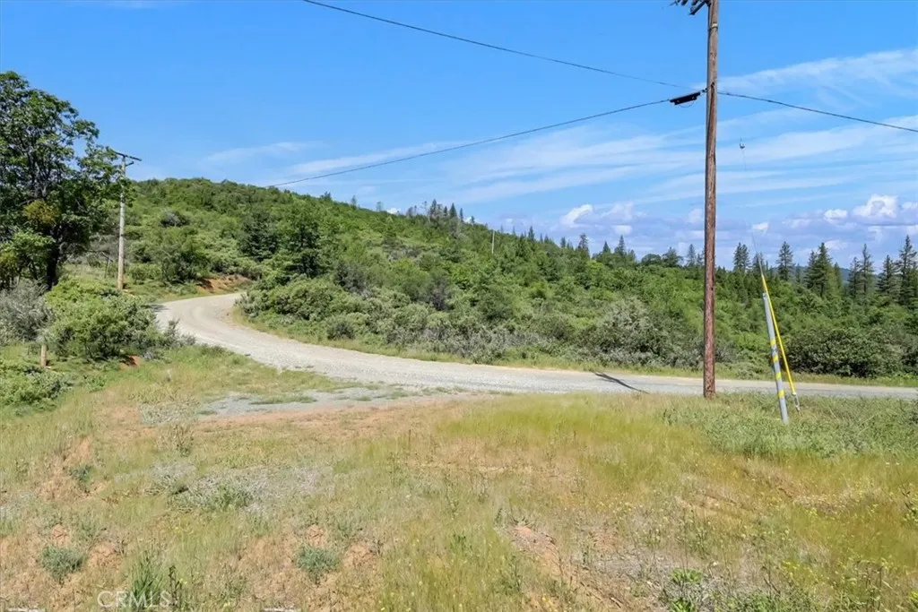 23 Clark Ranch Way Dobbins, CA 95935 - Photo 11 of 42 a view of a yard with a tree