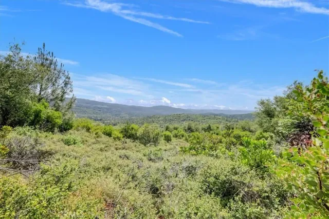 a view of a green field