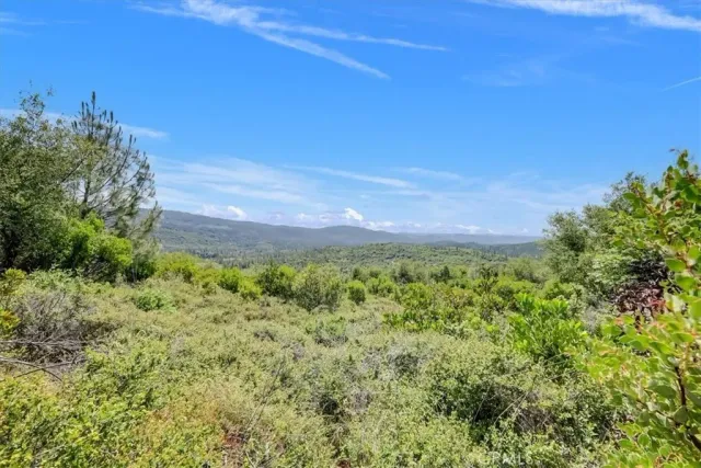 a view of a green field