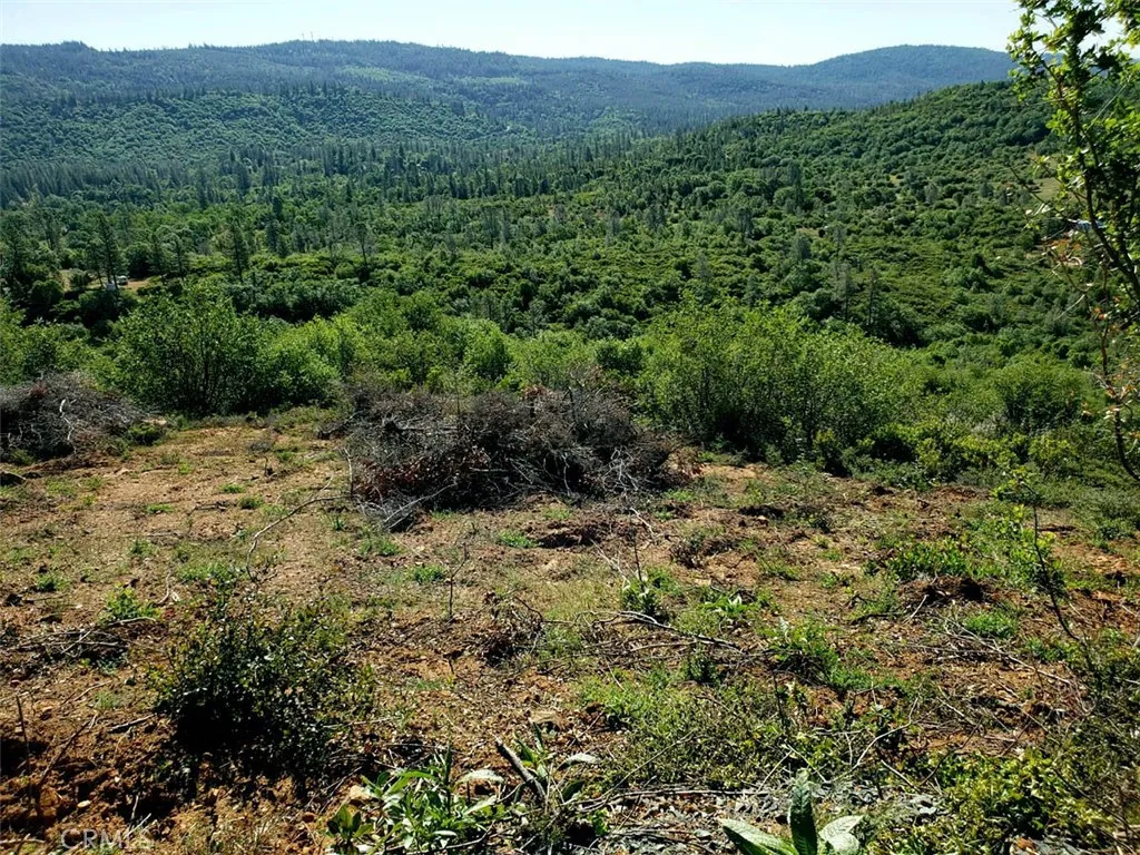 23 Clark Ranch Way Dobbins, CA 95935 - Photo 14 of 42 a view of a forest with a street