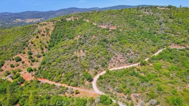 a view of a forest with mountains in the background