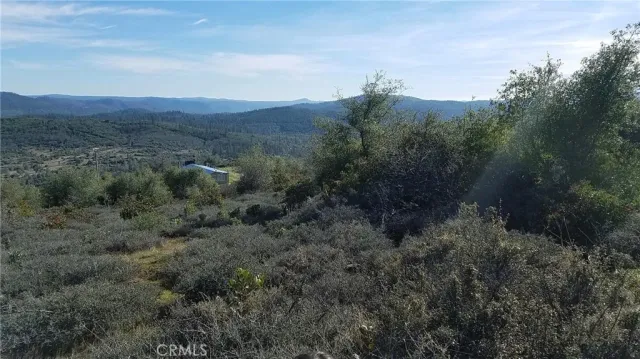 a view of a forest with mountains in the background