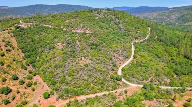 a view of a lush green field with lots of bushes