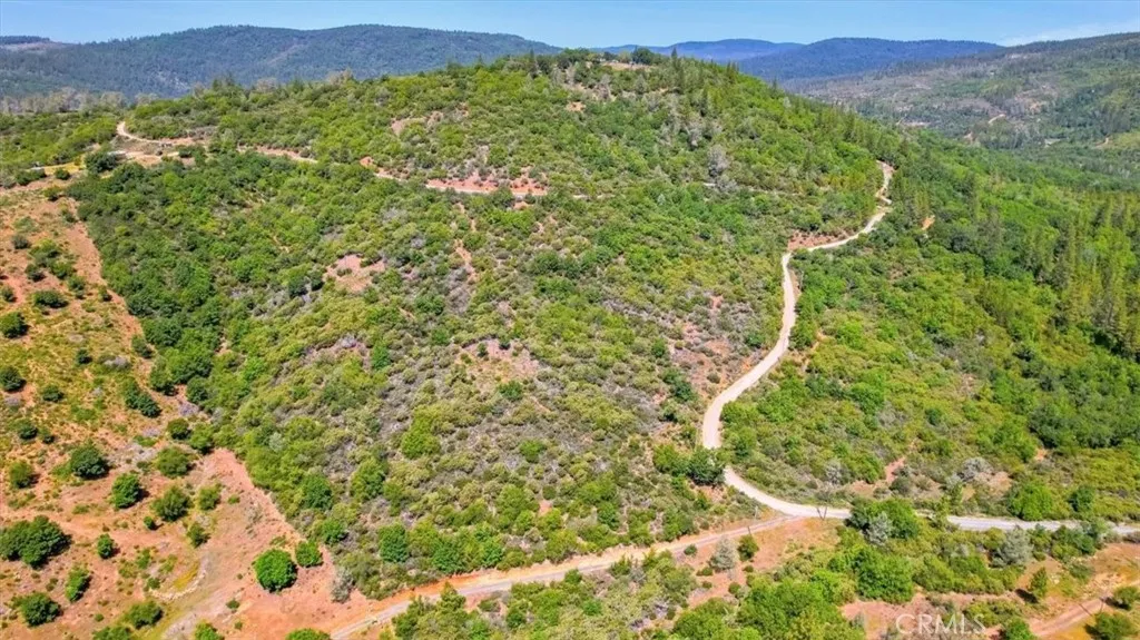 23 Clark Ranch Way Dobbins, CA 95935 - Photo 20 of 42 a view of a lush green field with lots of bushes
