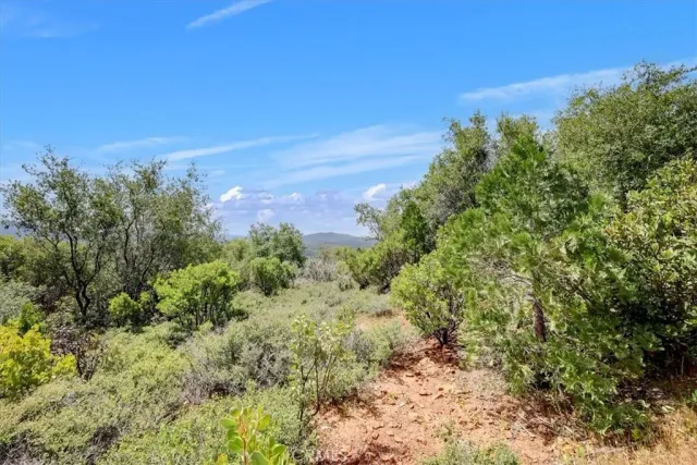 a view of a large yard with lots of green space