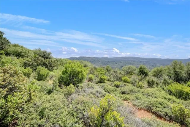 a view of a green field