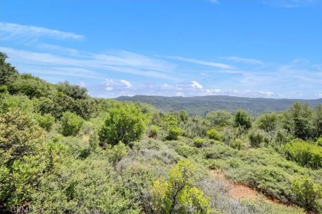 a view of a lush green field
