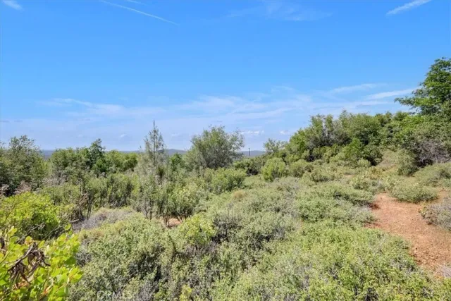 a view of a green field