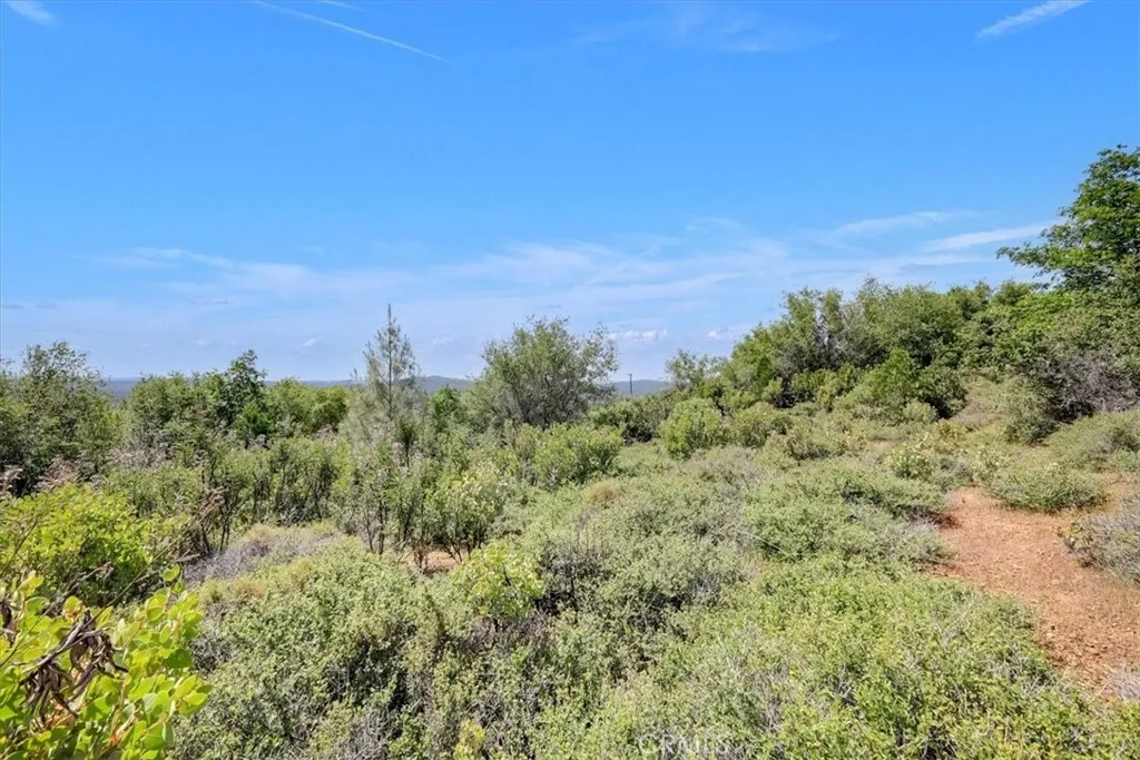 23 Clark Ranch Way Dobbins, CA 95935 - Photo 24 of 42 a view of a green field