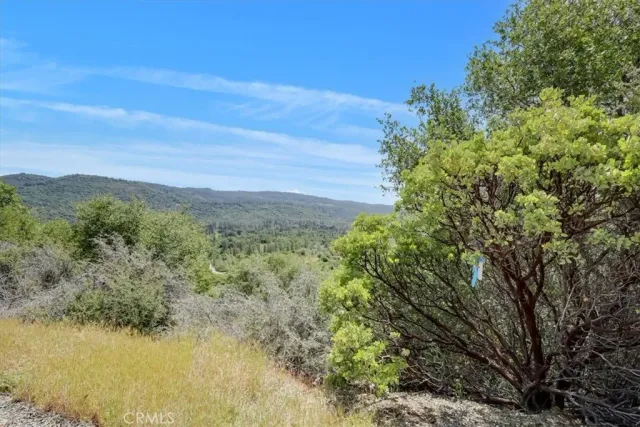 a view of a lake with a mountain in the background