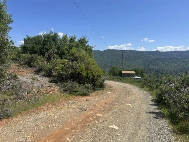 a view of a dry yard with large trees