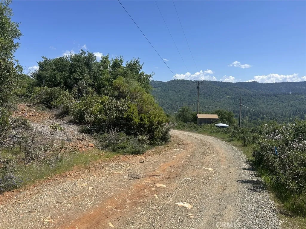 23 Clark Ranch Way Dobbins, CA 95935 - Photo 27 of 42 a view of a dry yard with large trees