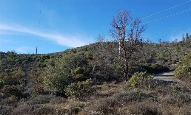 a view of a lush green field with a mountain in the background