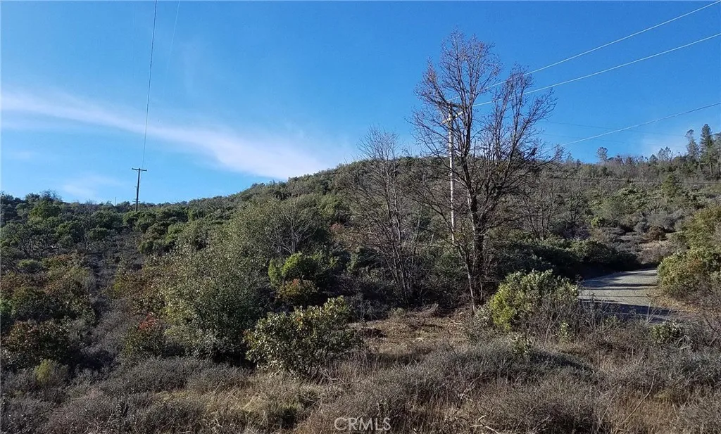 23 Clark Ranch Way Dobbins, CA 95935 - Photo 29 of 42 a view of a yard with a tree