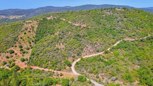 a view of a lush green field with a mountain in the background