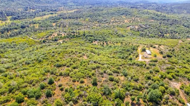 a view of a big yard with lots of bushes