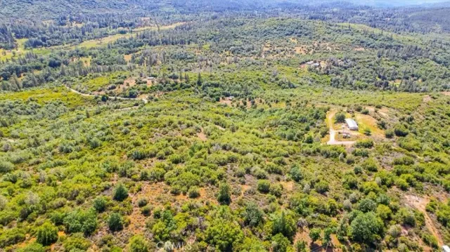 a view of a lush green field with a mountain in the background