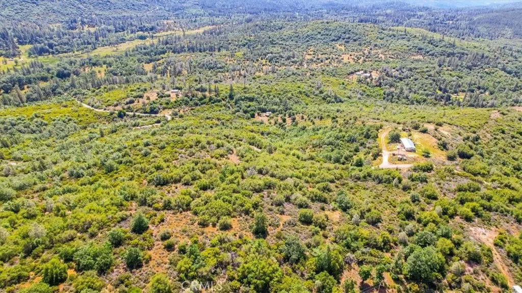 23 Clark Ranch Way Dobbins, CA 95935 - Photo 32 of 42 a view of a big yard with lots of bushes