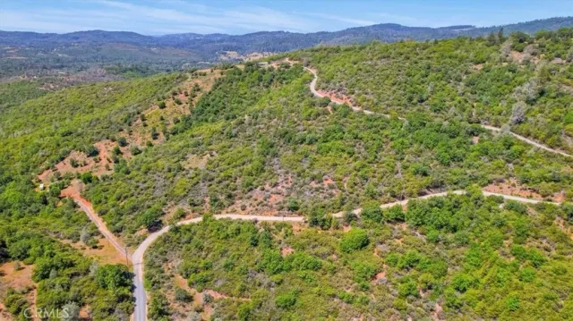 a view of a lush green field with a mountain in the background
