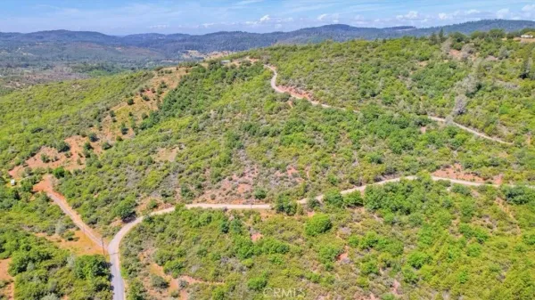 an aerial view of mountain with trees