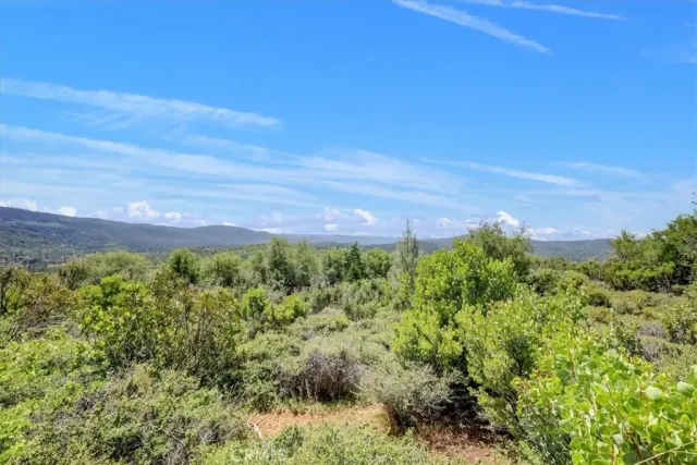 a view of a large building with a yard