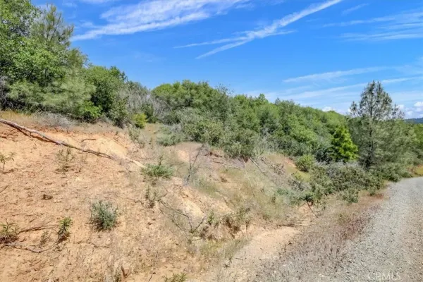 a view of a dry yard with trees in the background
