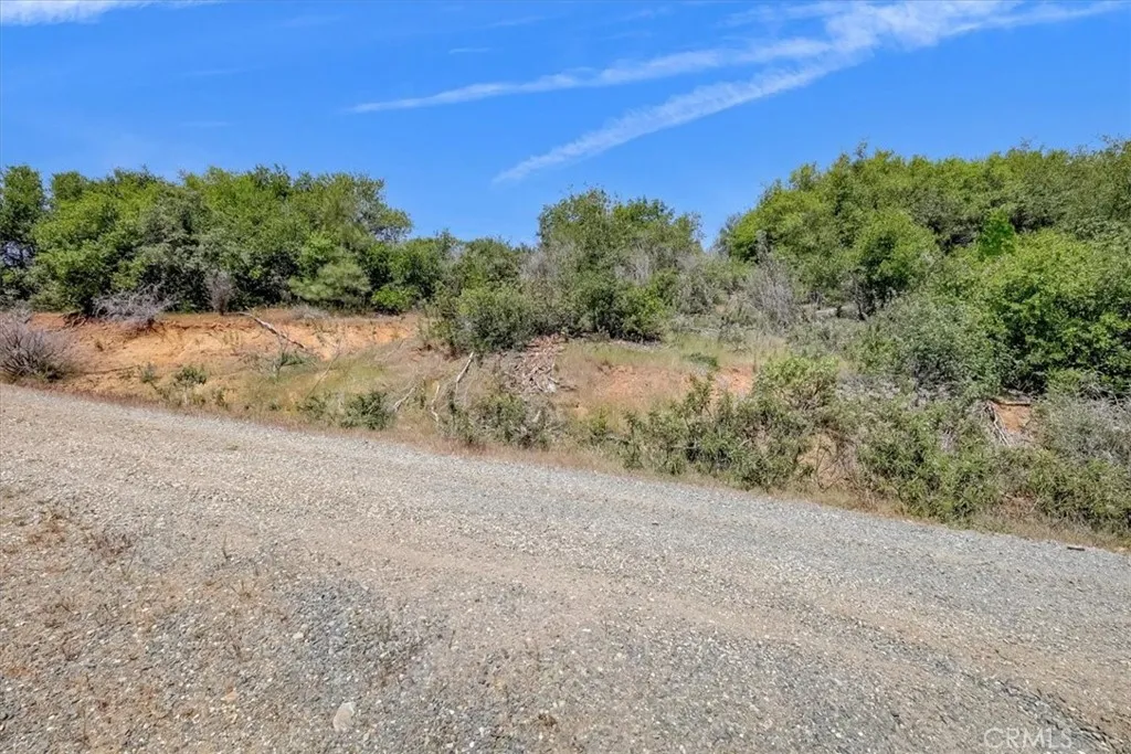 23 Clark Ranch Way Dobbins, CA 95935 - Photo 39 of 42 a view of a dry yard with trees in the background