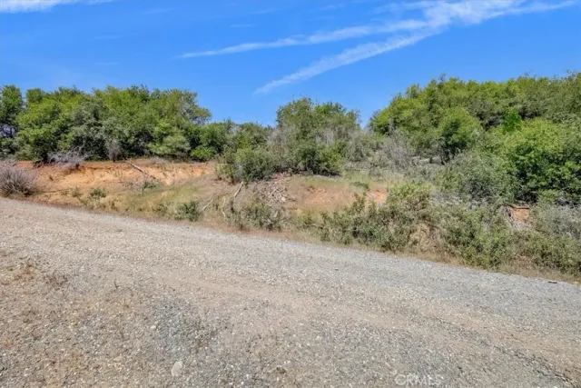 a view of a dry yard with trees in the background