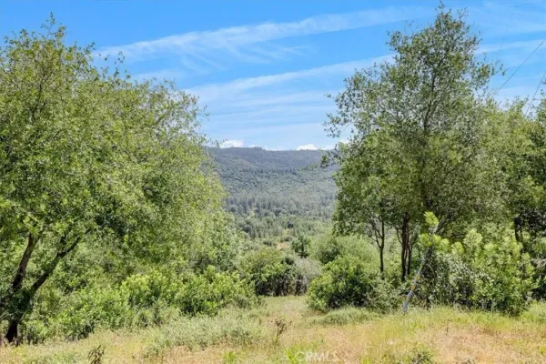 a view of a yard with a tree