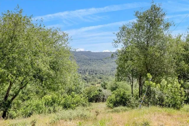 a view of a yard with a tree