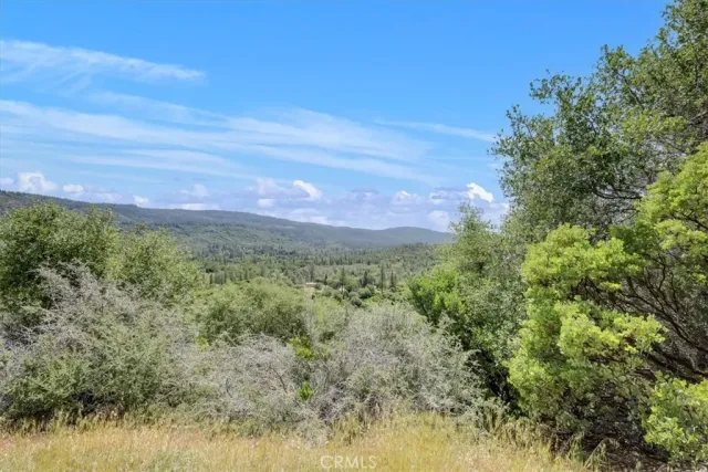a view of a yard with a street