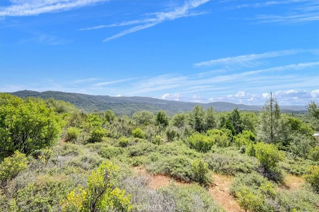 23 Clark Ranch Way Dobbins, CA 95935 - Photo 6 of 42 a view of a large yard with lots of green space