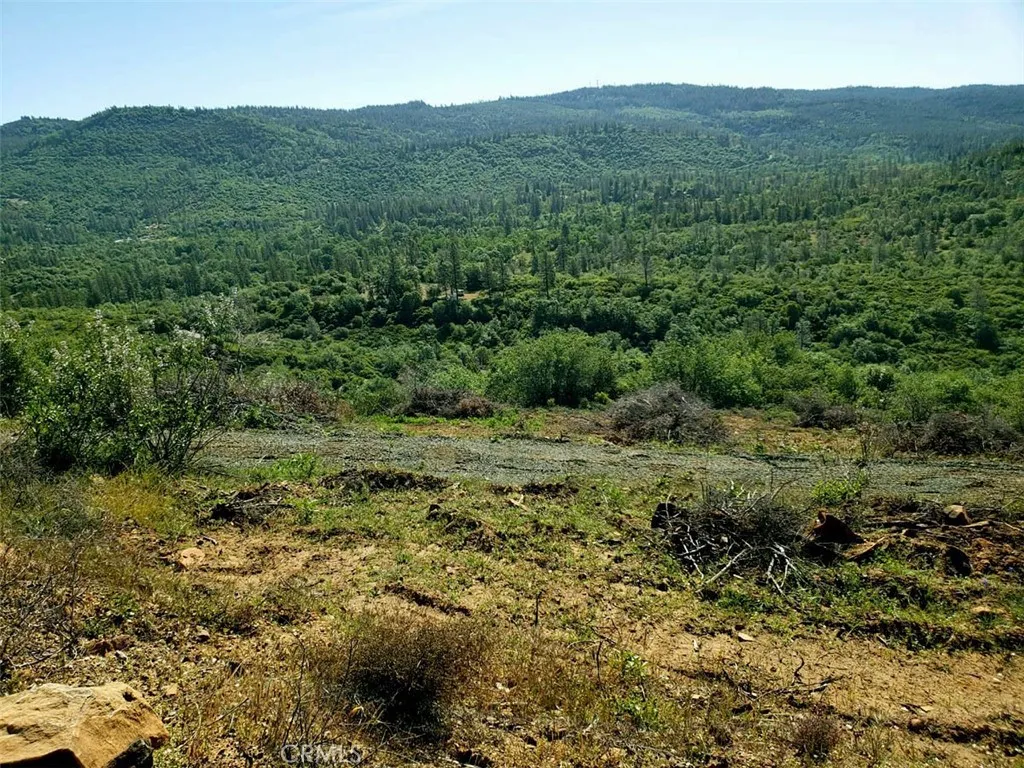 23 Clark Ranch Way Dobbins, CA 95935 - Photo 10 of 42 a view of a lush green forest with trees