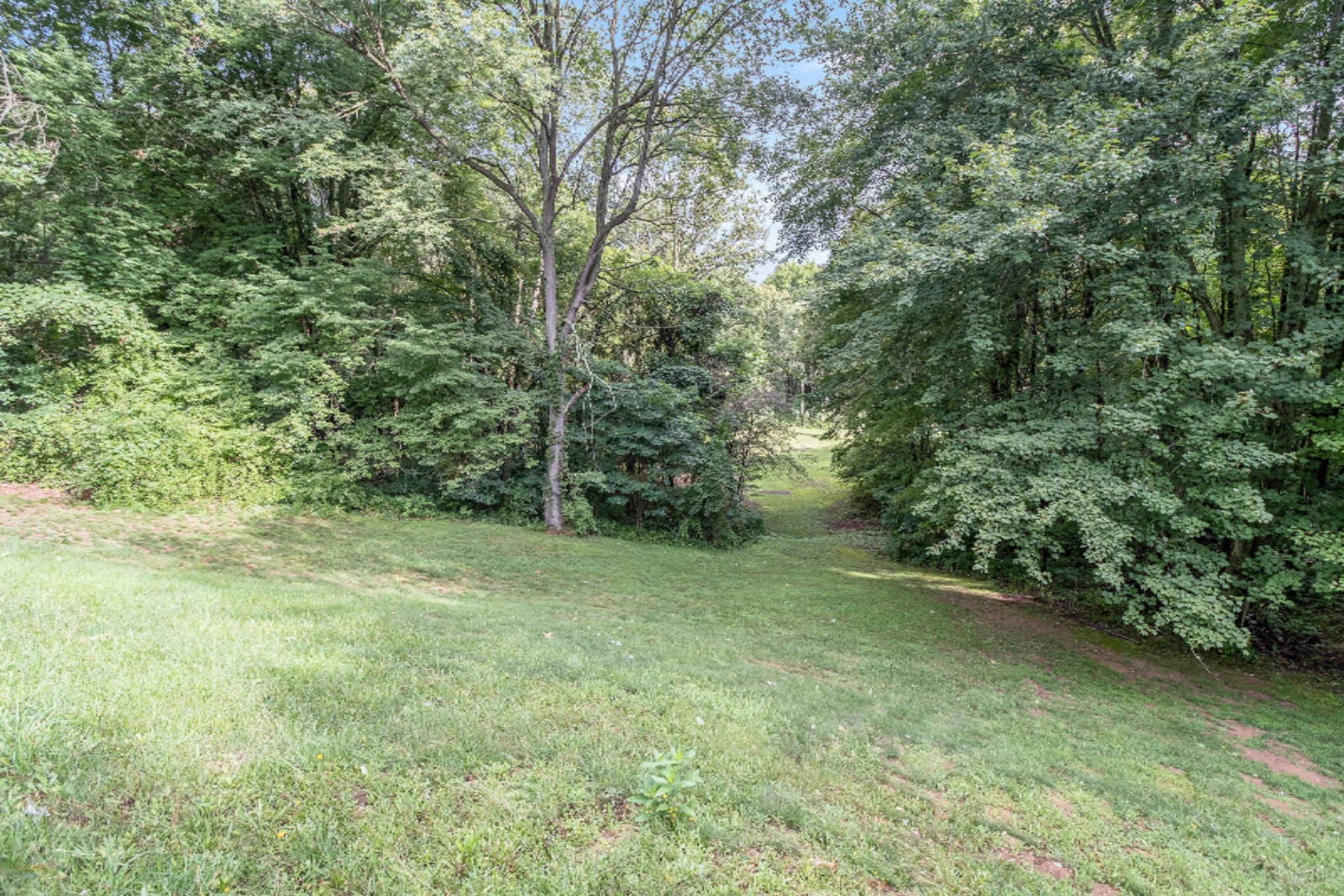 10190 Dutch Settlement Road Marcellus, MI 49067 - Photo 10 of 54 _DSF2462