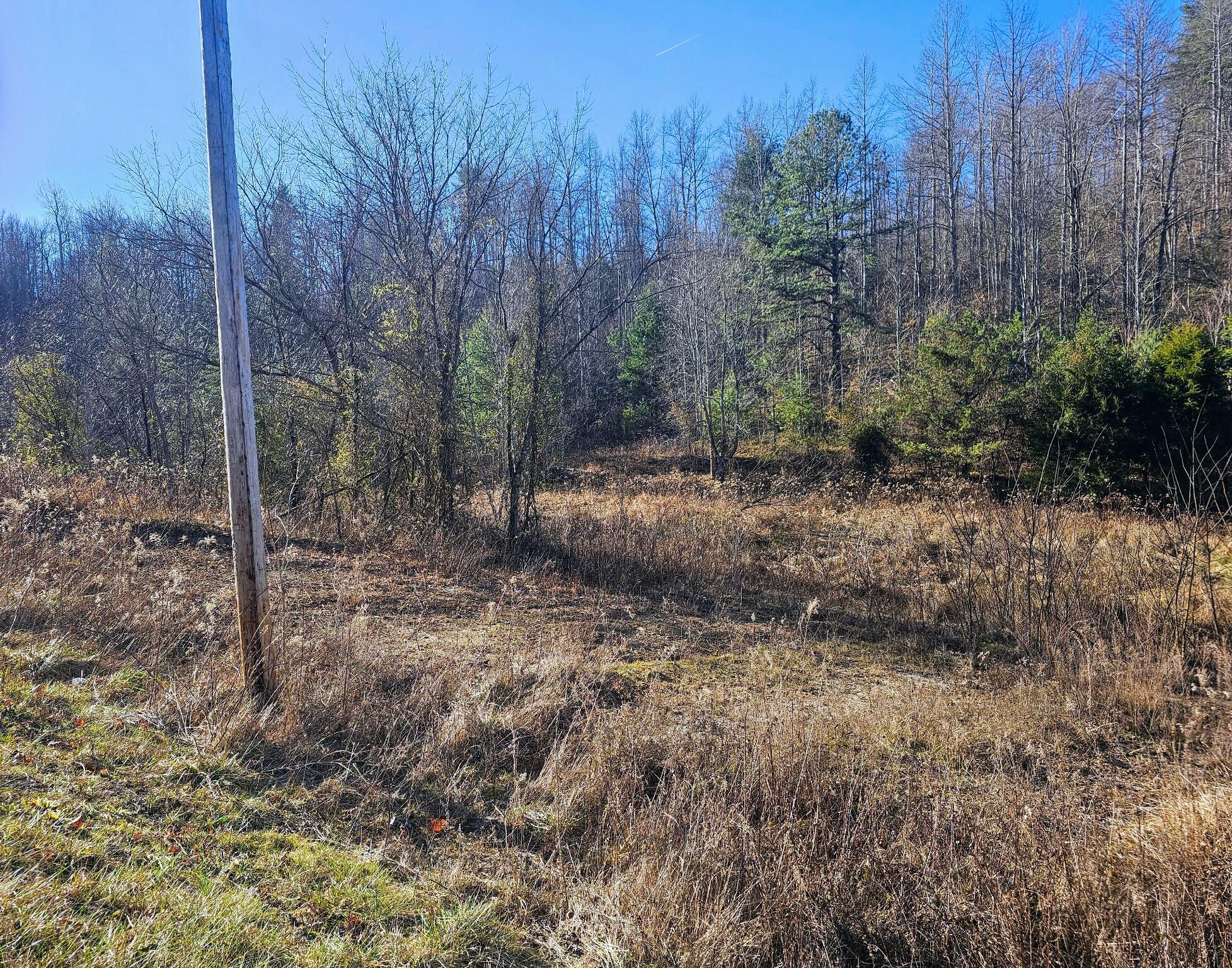 9999 Old State Road Wellington, KY 40387 - Photo 11 of 14 Frenchburg 11