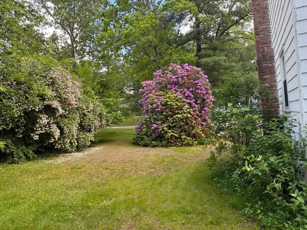 a view of a house with a yard and plants