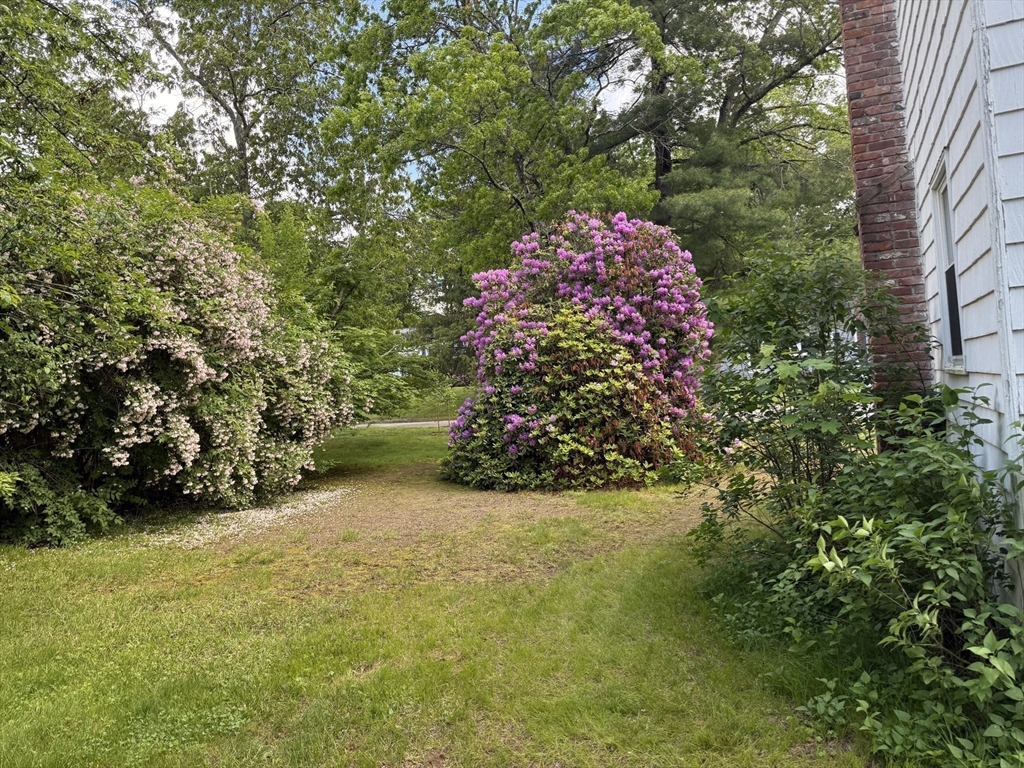 12 Clewes Road Millis, MA 02054 - Photo 13 of 14 a picture of street view