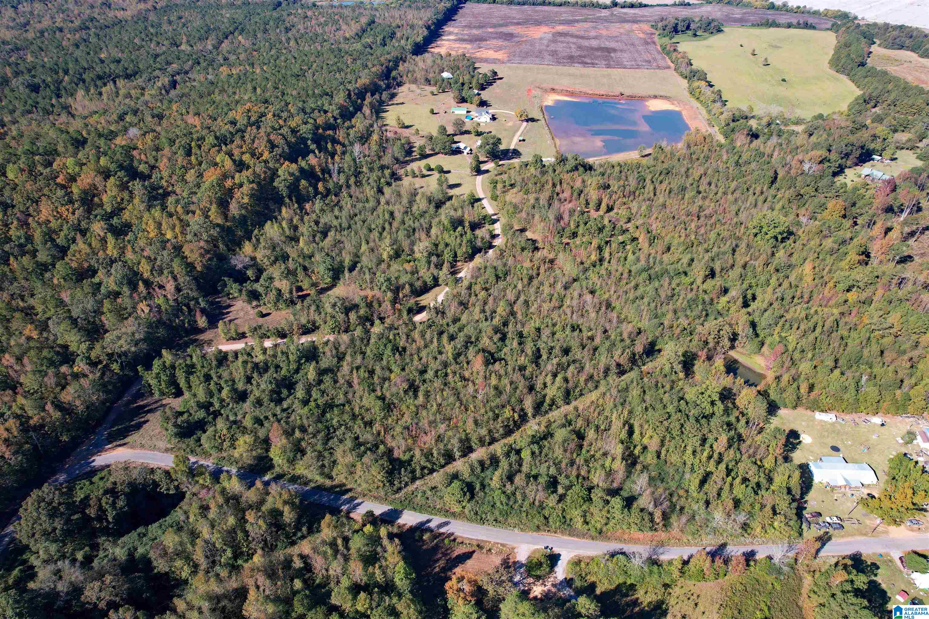 1450 Rendalia Motorway Talladega, AL 35160 - Photo 17 of 64