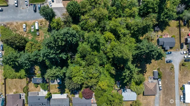an outdoor space with lots of trees