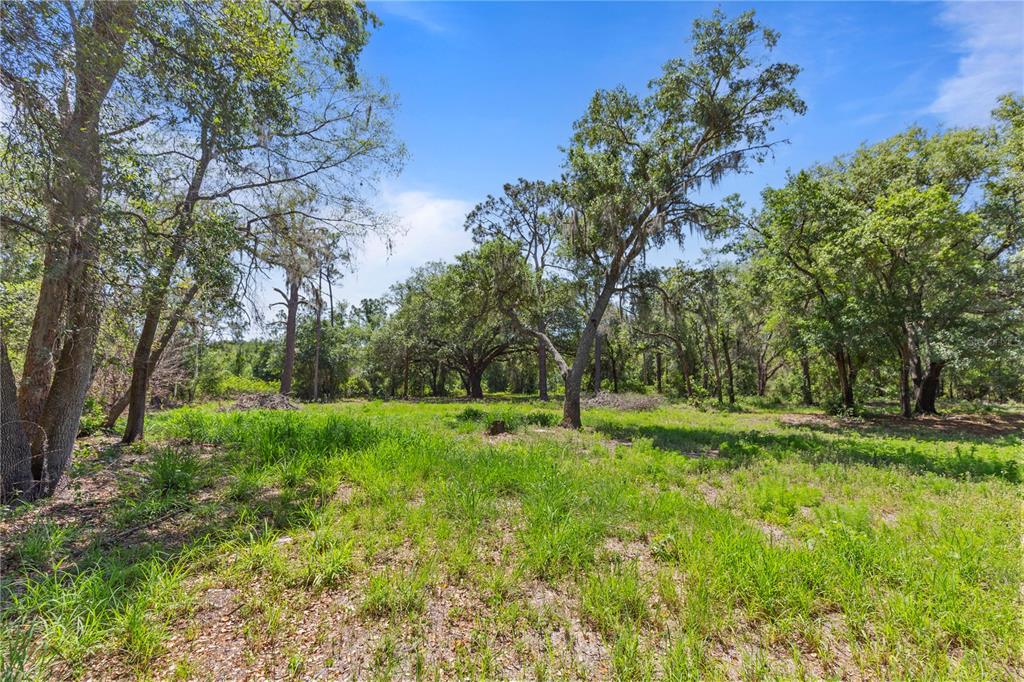 9121 Florida Boys Ranch Road Clermont, FL 34711 - Photo 9 of 25 Gallery Image 9