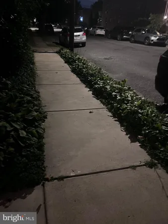 a view of path and yard