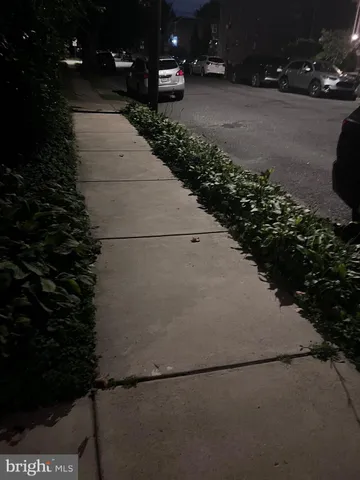 a view of path and yard