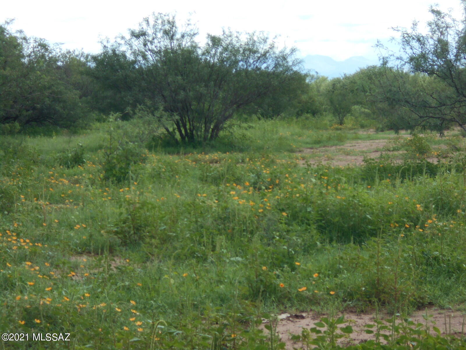 7298 North Frontier Road McNeal, AZ 85617 - Photo 14 of 40 Gallery Image 14