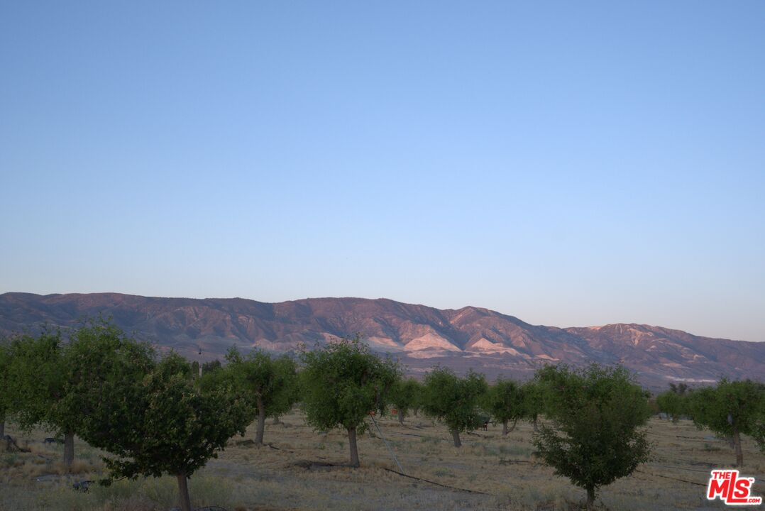 10424 Santa Fe Fire Road Lucerne Valley, CA 92356 - Photo 25 of 33 a view of a town with mountains in the background